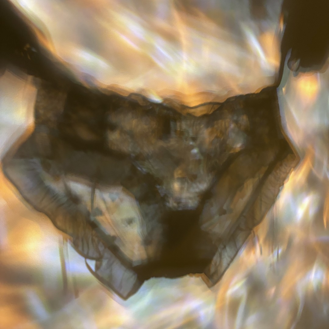 lm_image___2zfov image___2atDz cover___2hGtr