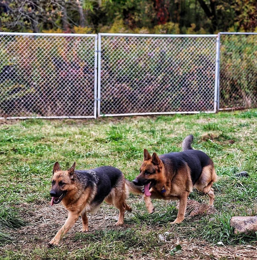 lm_image___2zfov navigation-img___1klTx cover___2hGtr