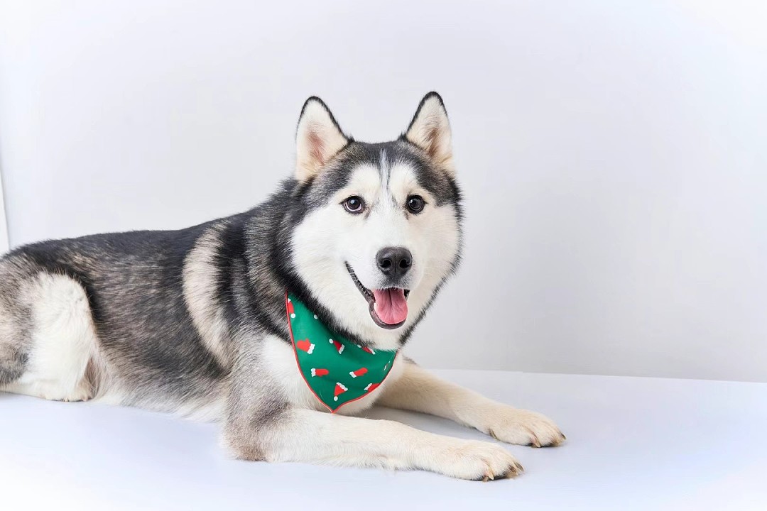 lm_image___2zfov navigation-img___1klTx cover___2hGtr