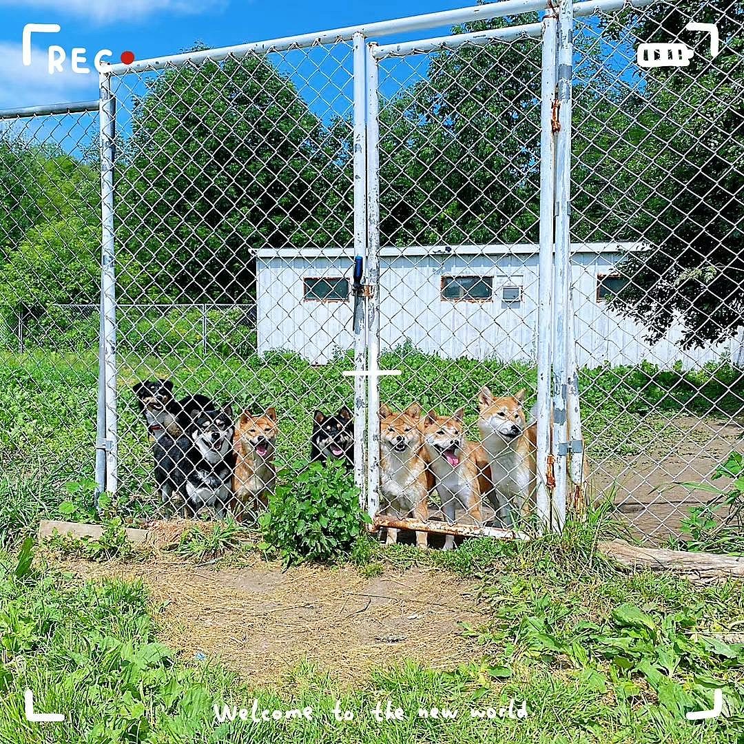 lm_image___2zfov navigation-img___1klTx cover___2hGtr