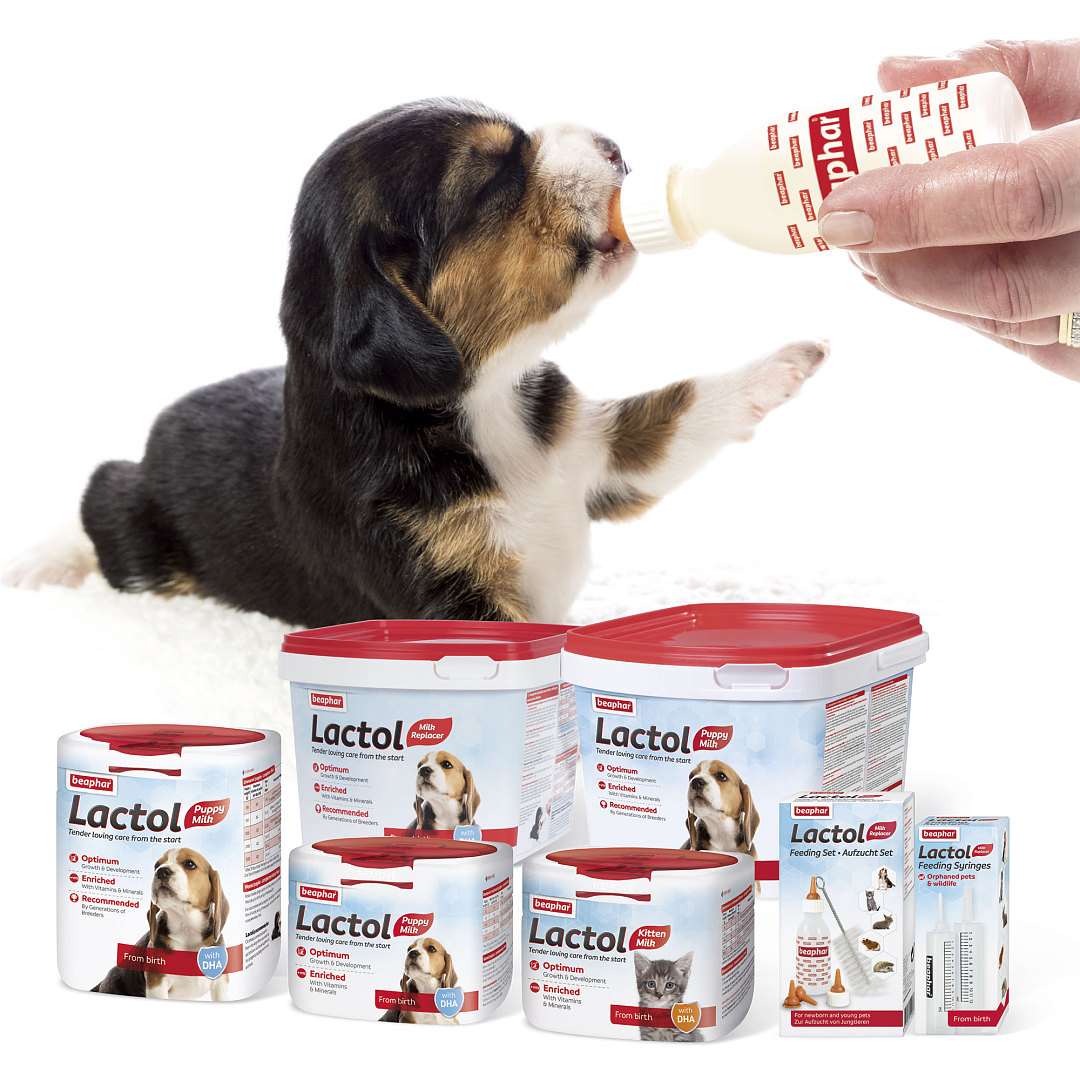 lm_image___2zfov swiper-item-image___2SBSc cover___2hGtr