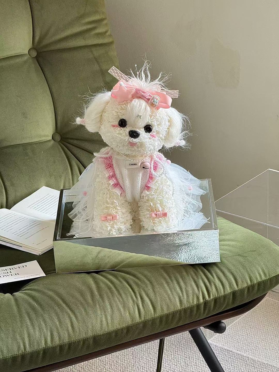 Loli Teddy Dog