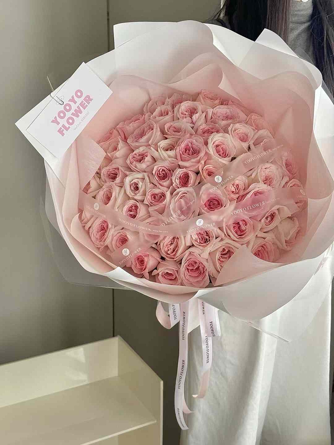 52 Pink O'Hara Roses