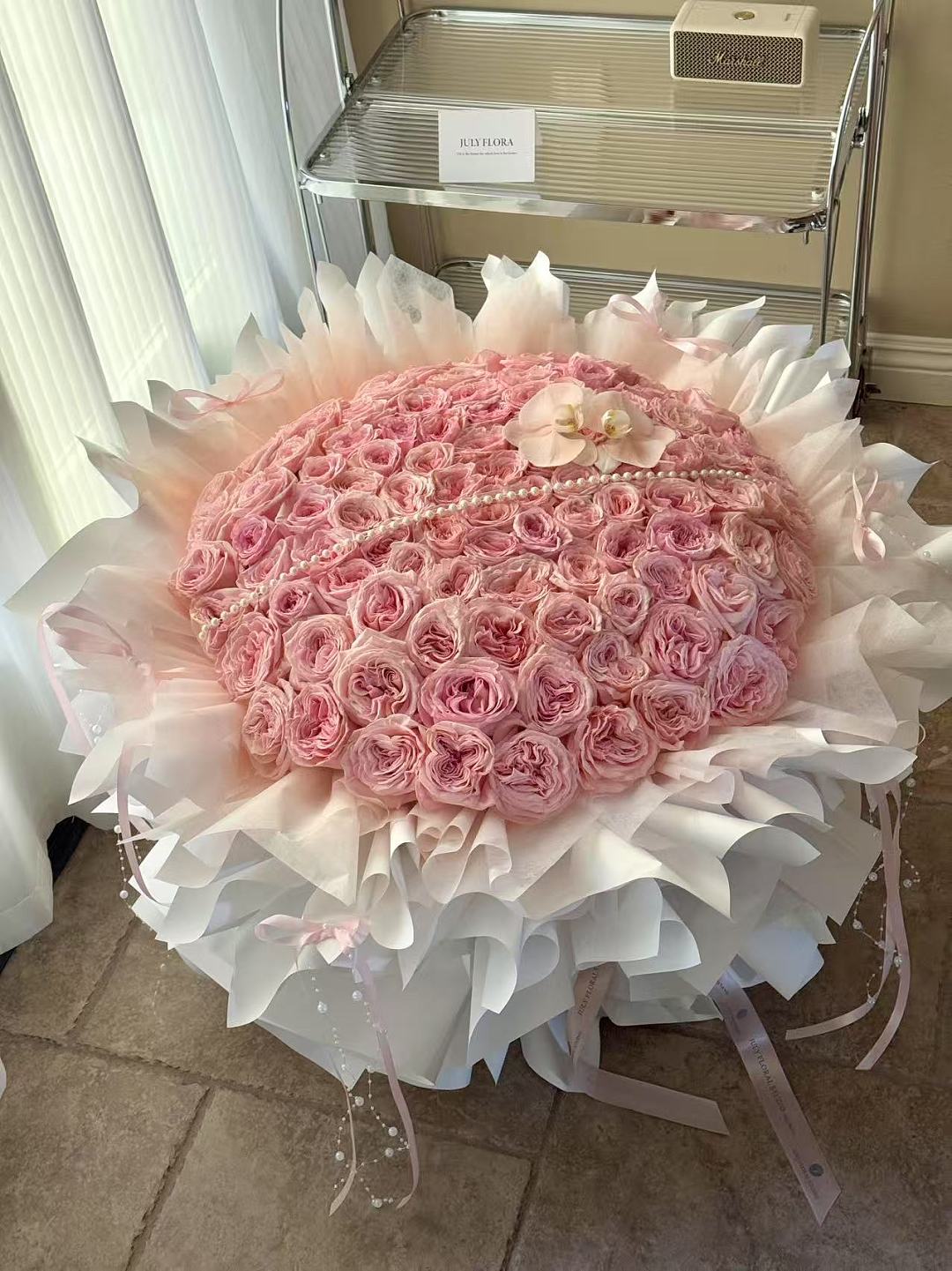 99 Pink O'Hara Roses