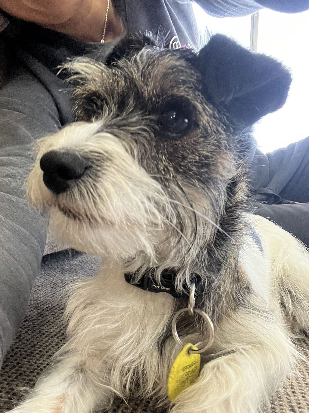 lm_image___2zfov swiper-item-image___2SBSc cover___2hGtr lm_image___2zfov swiper-item-image___2SBSc cover___2hGtr