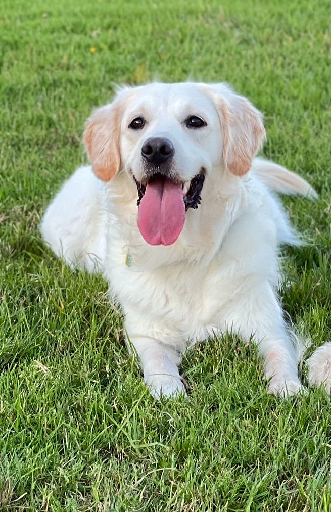 lm_image___2zfov swiper-item-image___2SBSc cover___2hGtr lm_image___2zfov swiper-item-image___2SBSc cover___2hGtr