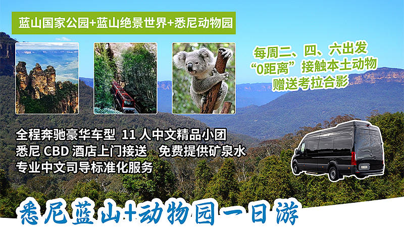 AAH-BMSZ 蓝山+动物园一日游 含缆车通票、动物园门票(考拉合影、喂袋鼠)、司导小费、水