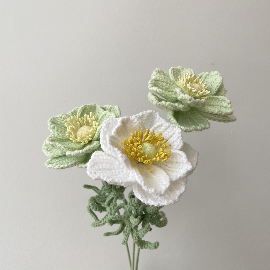 Anemone