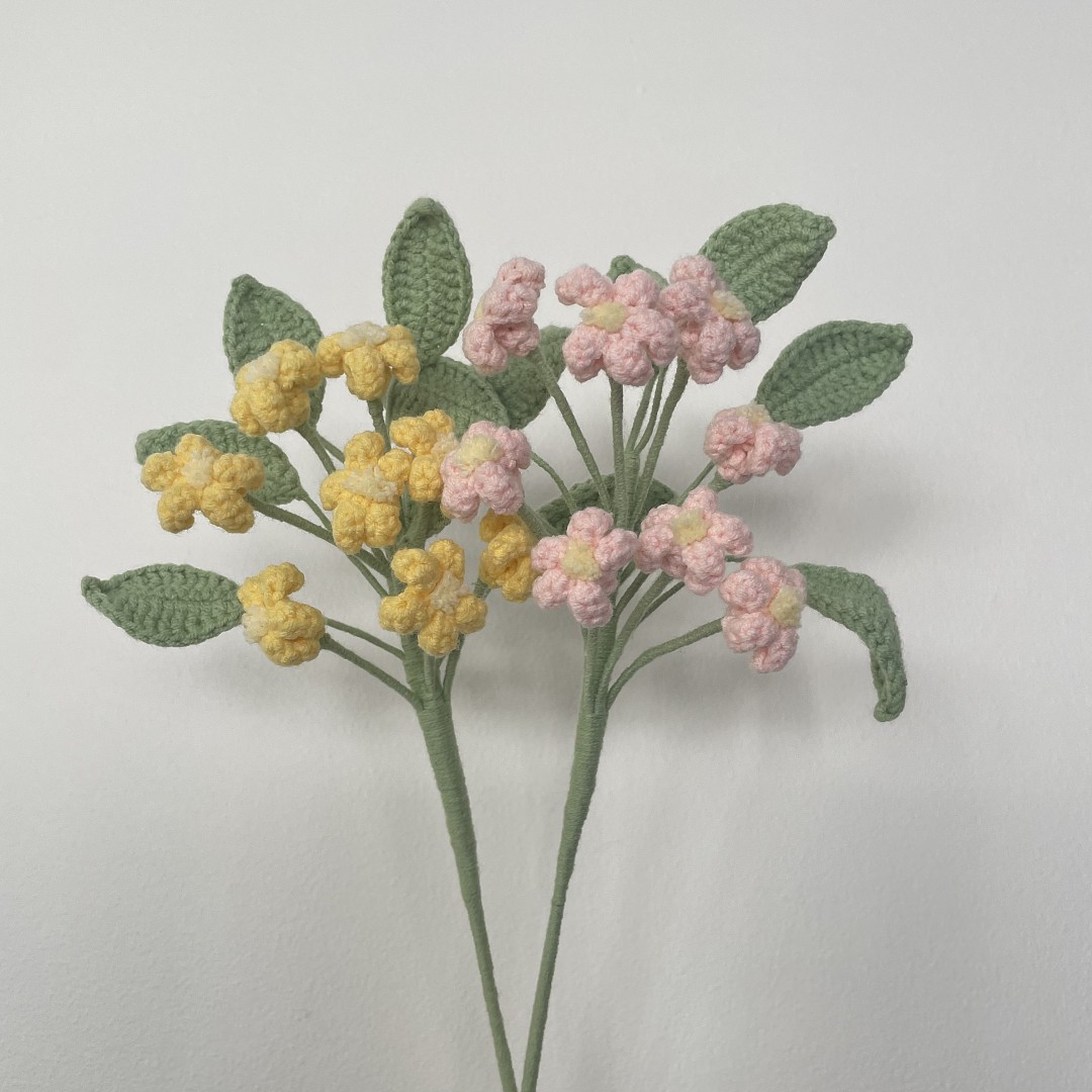 Orange Jasmine