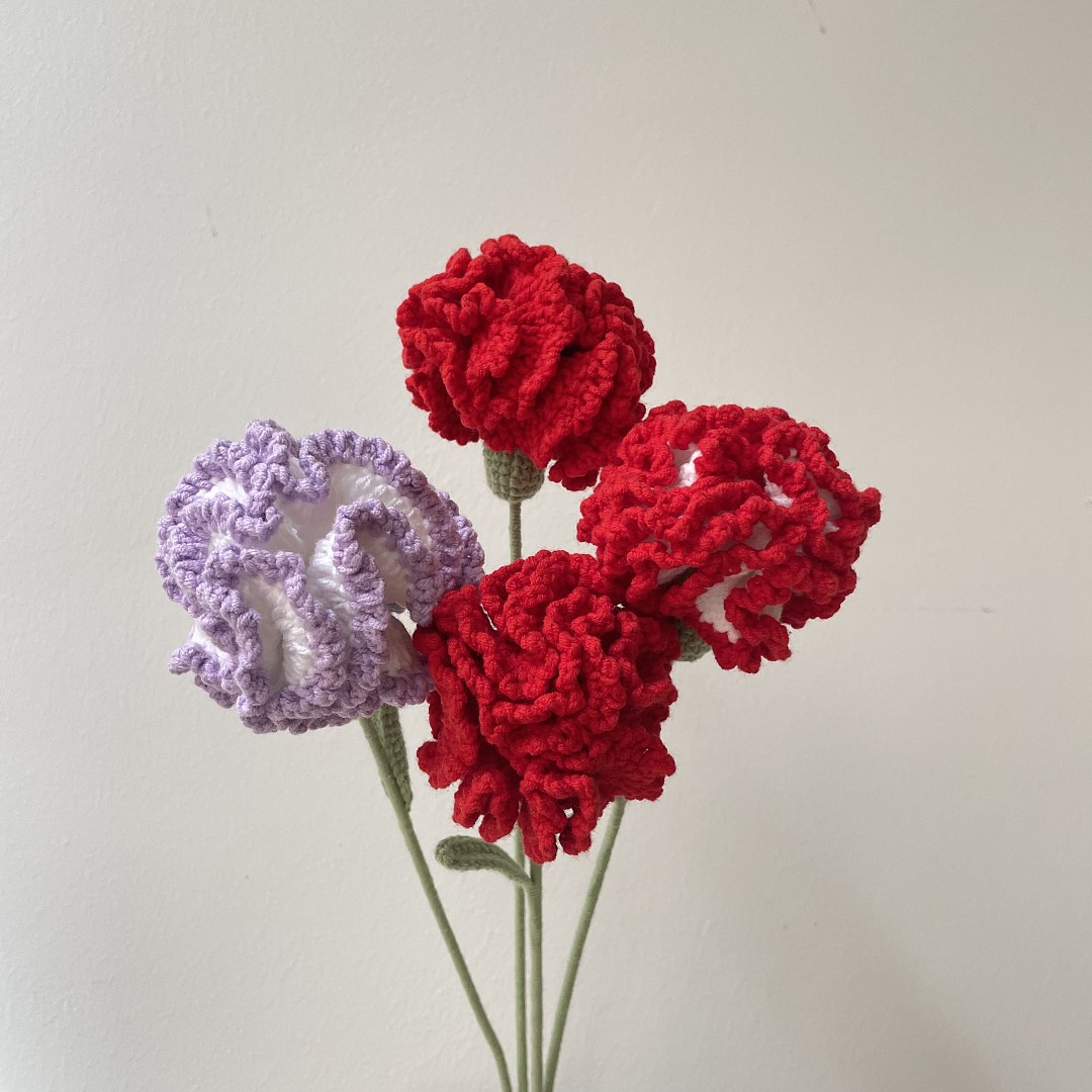 Carnation