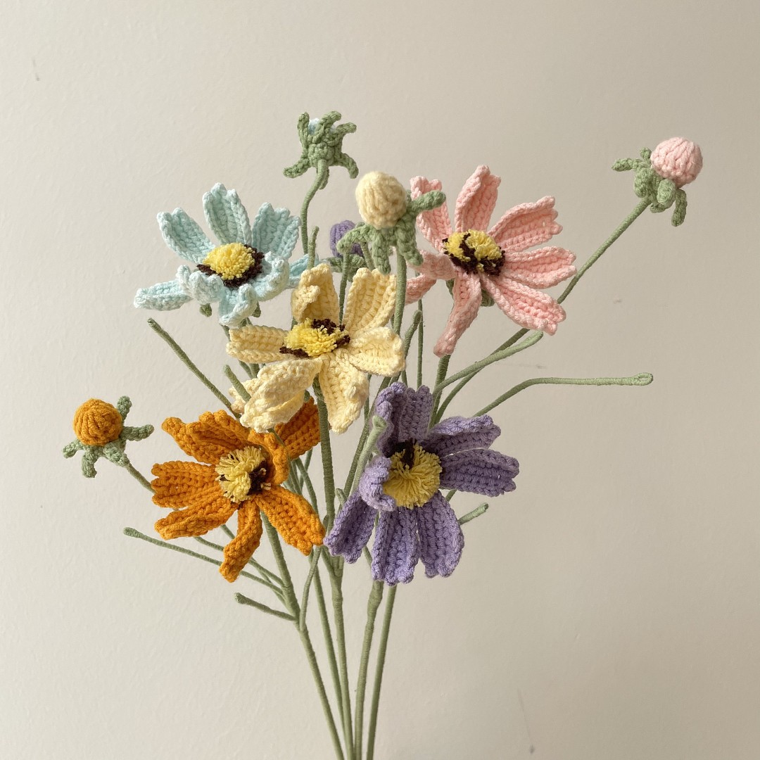 Cosmos