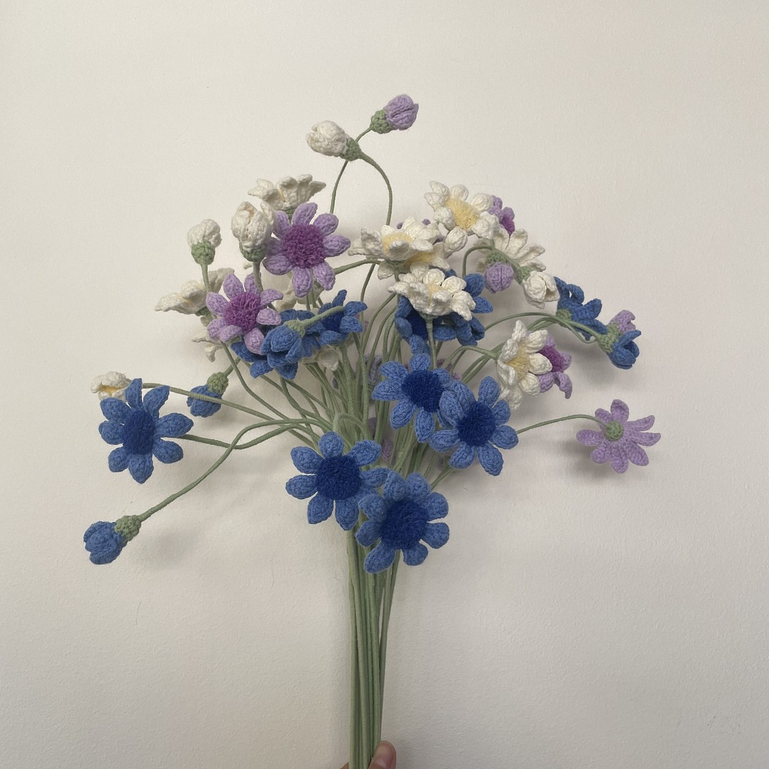 Blue Eye Daisy