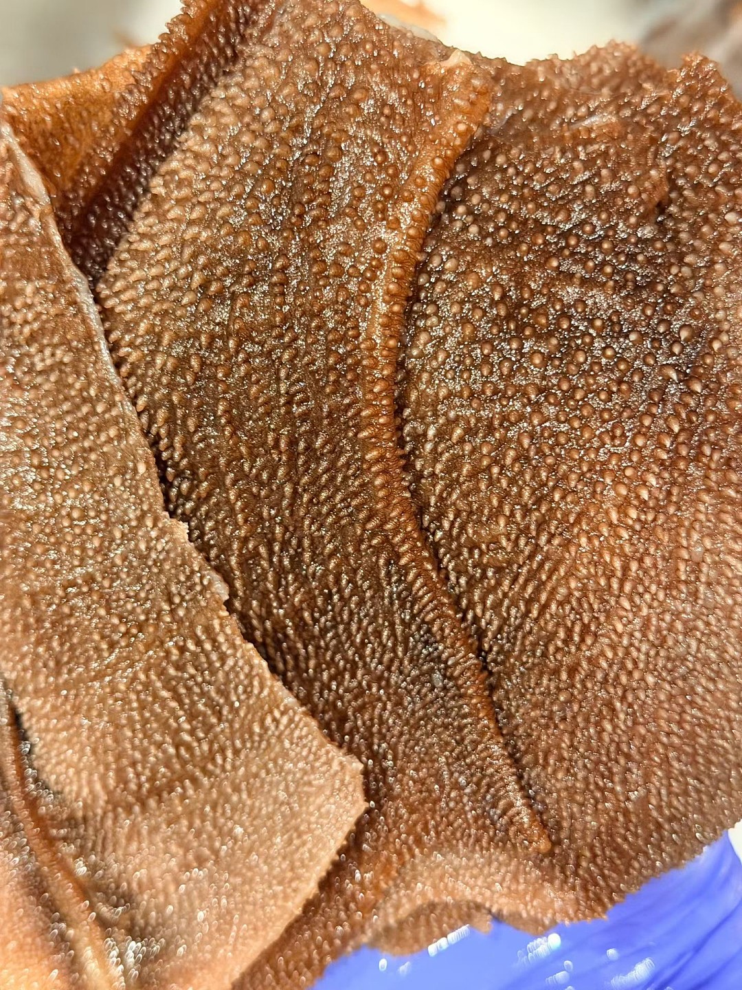 lm_image___2zfov swiper-item-image___2SBSc cover___2hGtr