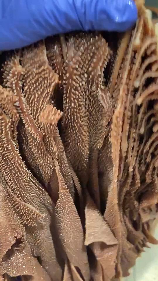 lm_image___2zfov swiper-item-image___2SBSc cover___2hGtr