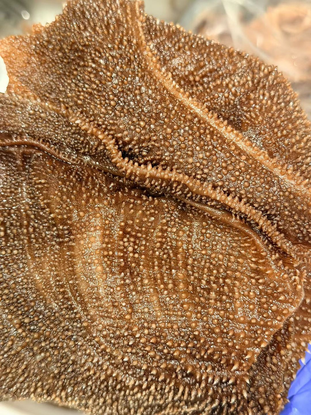 lm_image___2zfov swiper-item-image___2SBSc cover___2hGtr