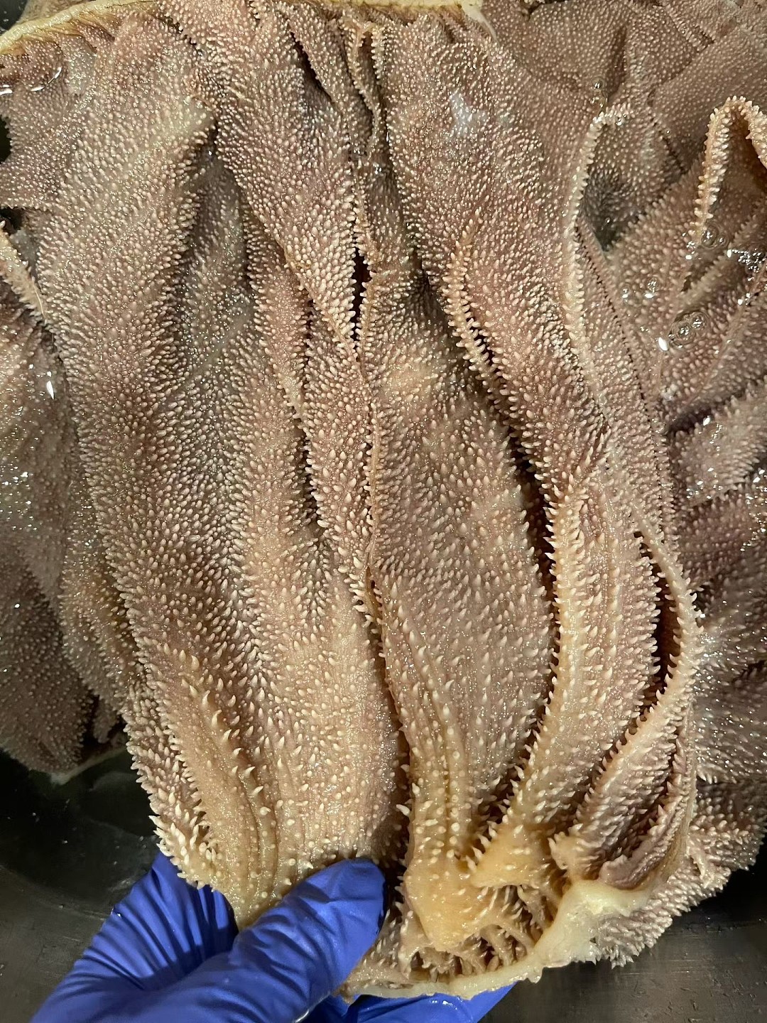 lm_image___2zfov swiper-item-image___2SBSc cover___2hGtr