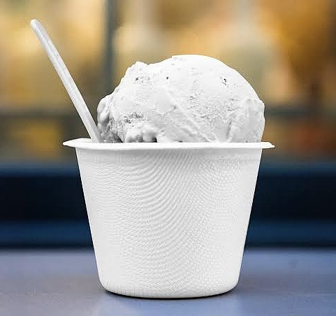 Vanilla Ice Cream Cup