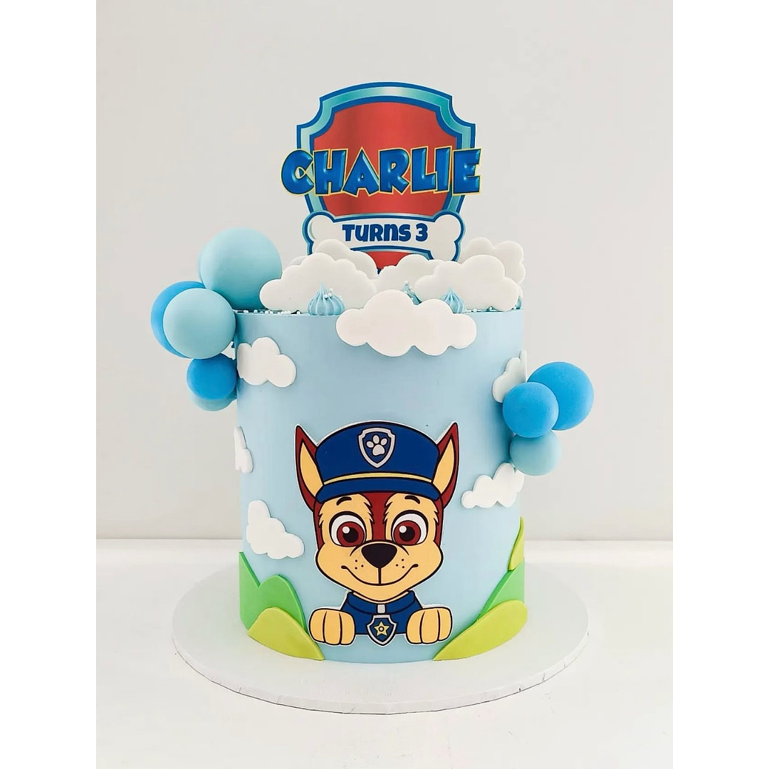 Design 11: 7-inch Paw Patrol Cake Feeds 30-40 People(Party)