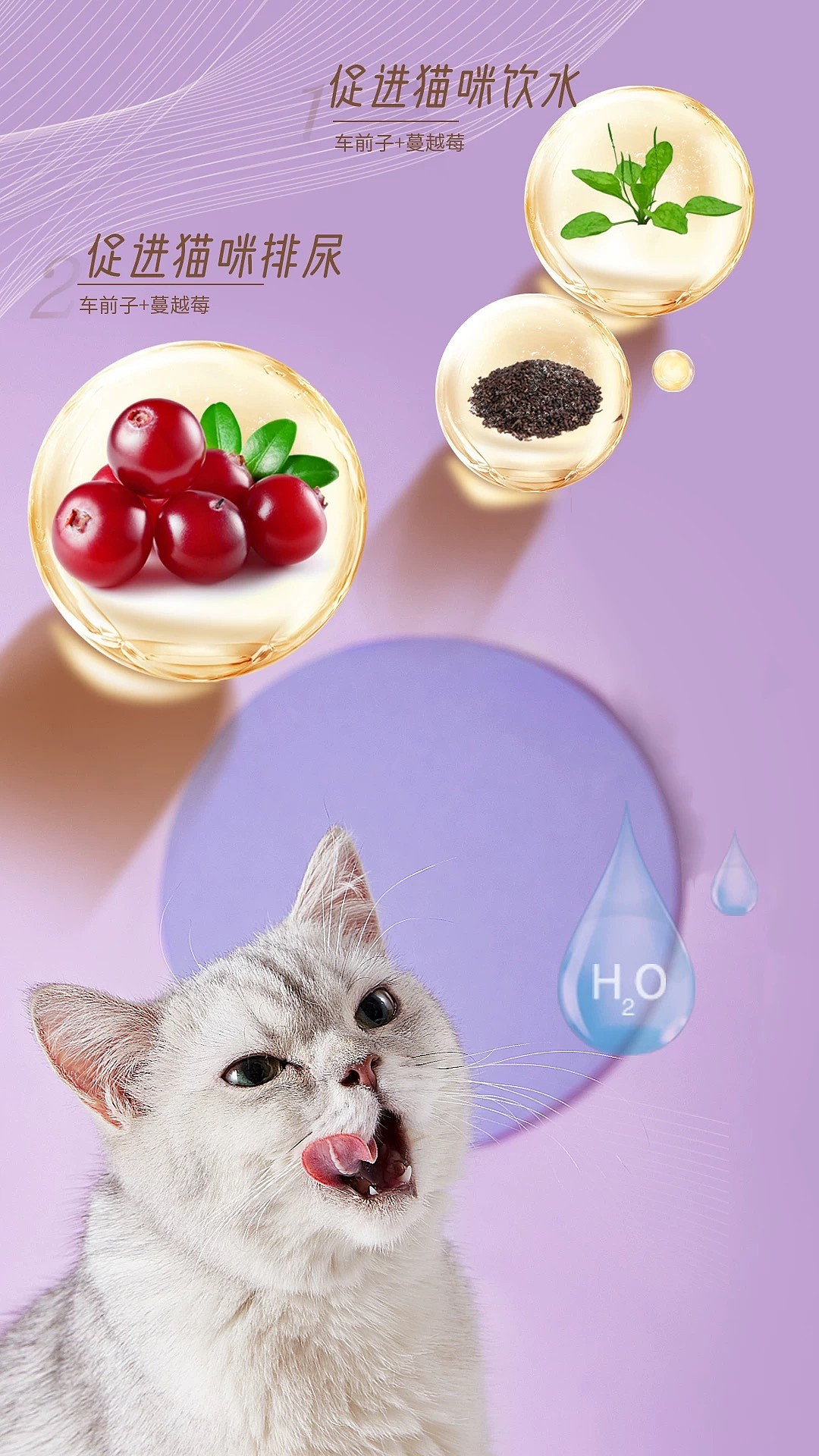 lm_image___2zfov swiper-item-image___2SBSc cover___2hGtr