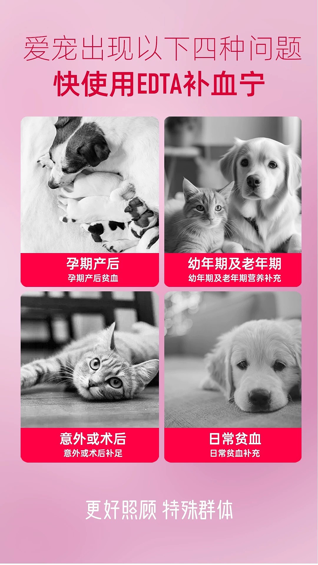 lm_image___2zfov swiper-item-image___2SBSc cover___2hGtr