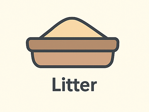 lm_image___2zfov navigation-img___1klTx cover___2hGtr lm_image___2zfov navigation-img___1klTx cover___2hGtr