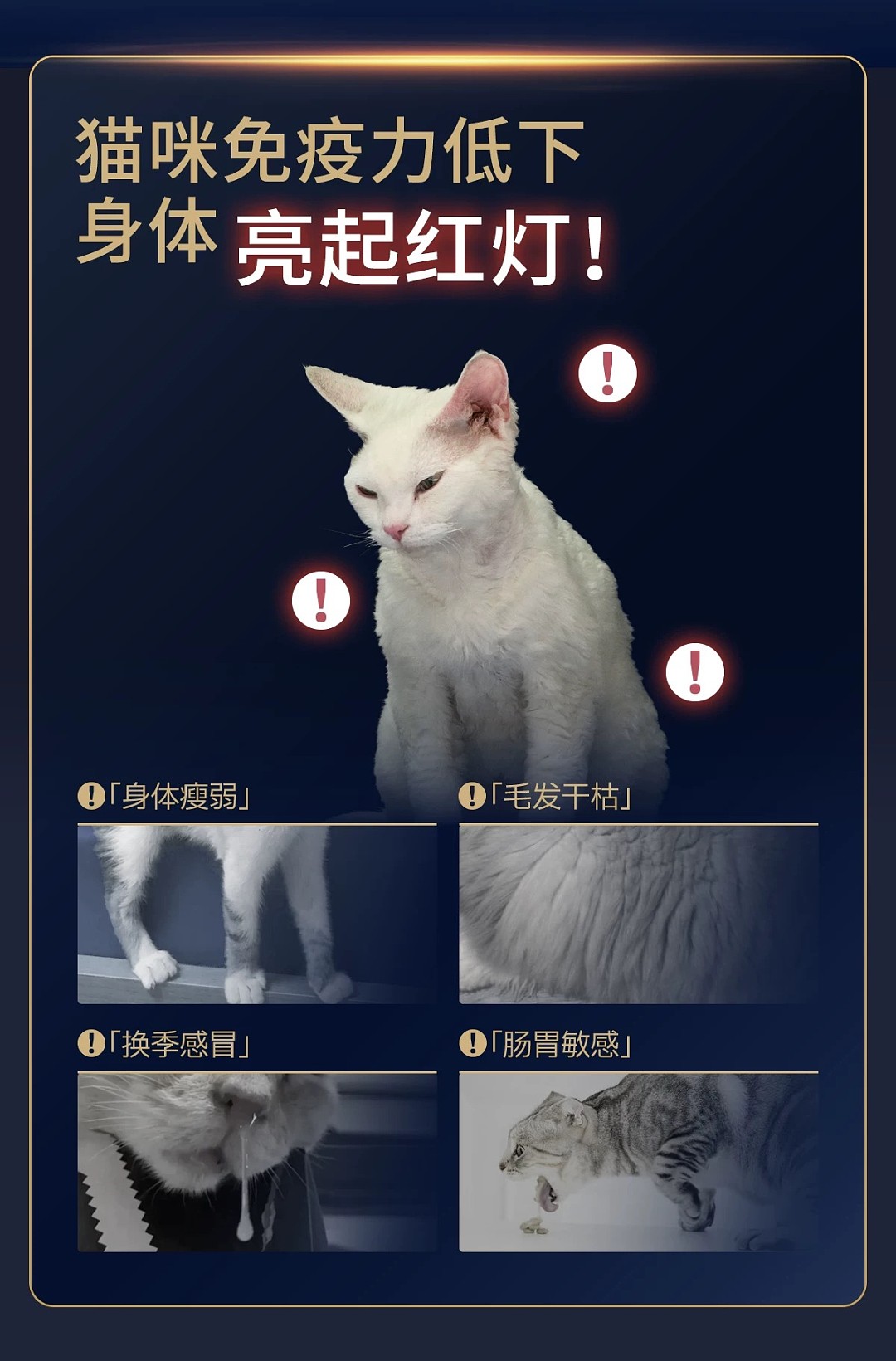 lm_image___2zfov swiper-item-image___2SBSc cover___2hGtr