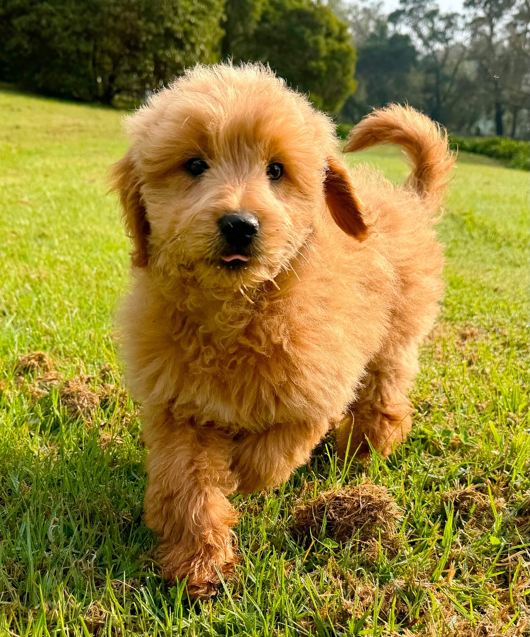 lm_image___2zfov img___201Rm cover___2hGtr