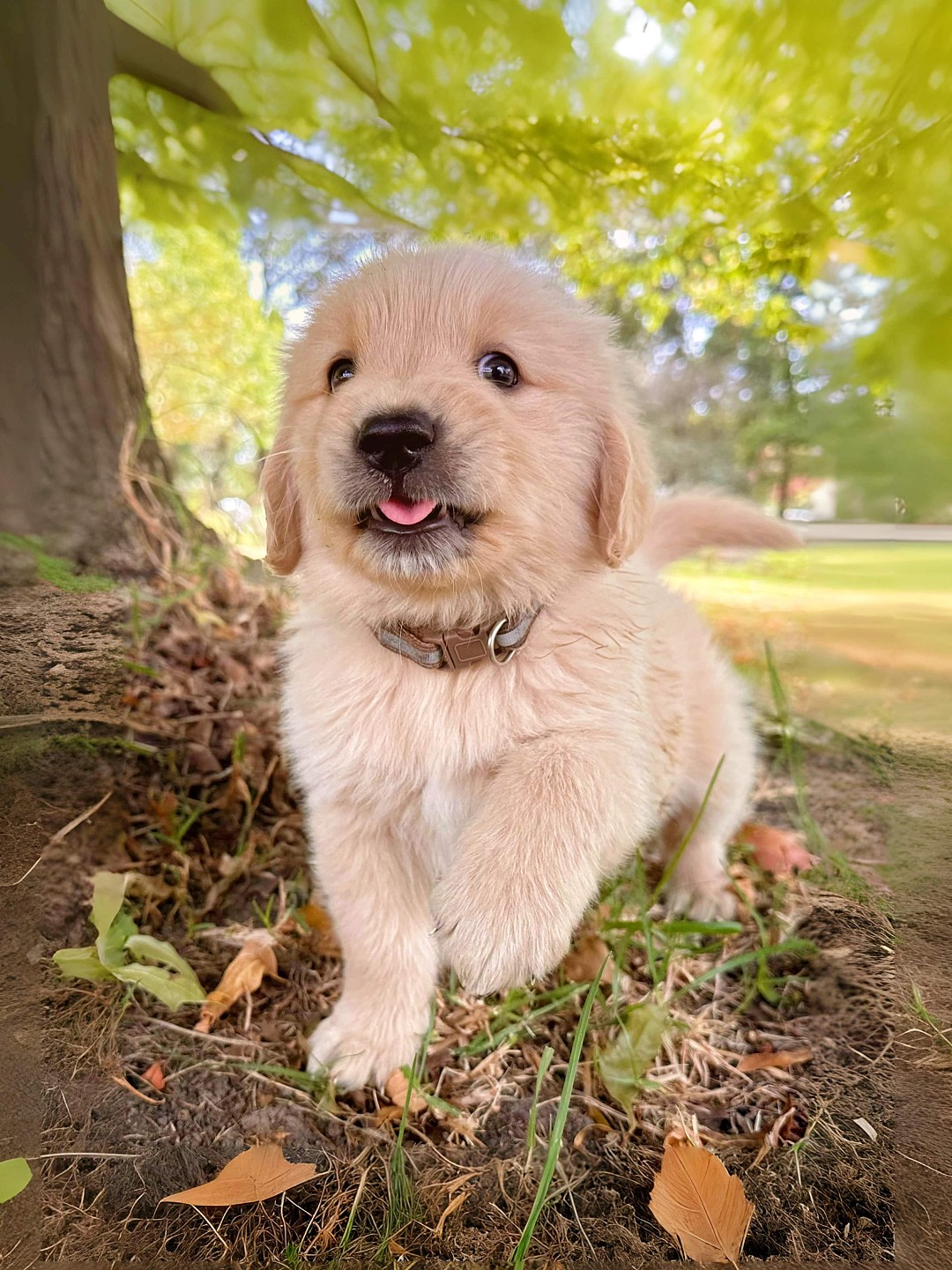 lm_image___2zfov img___201Rm cover___2hGtr