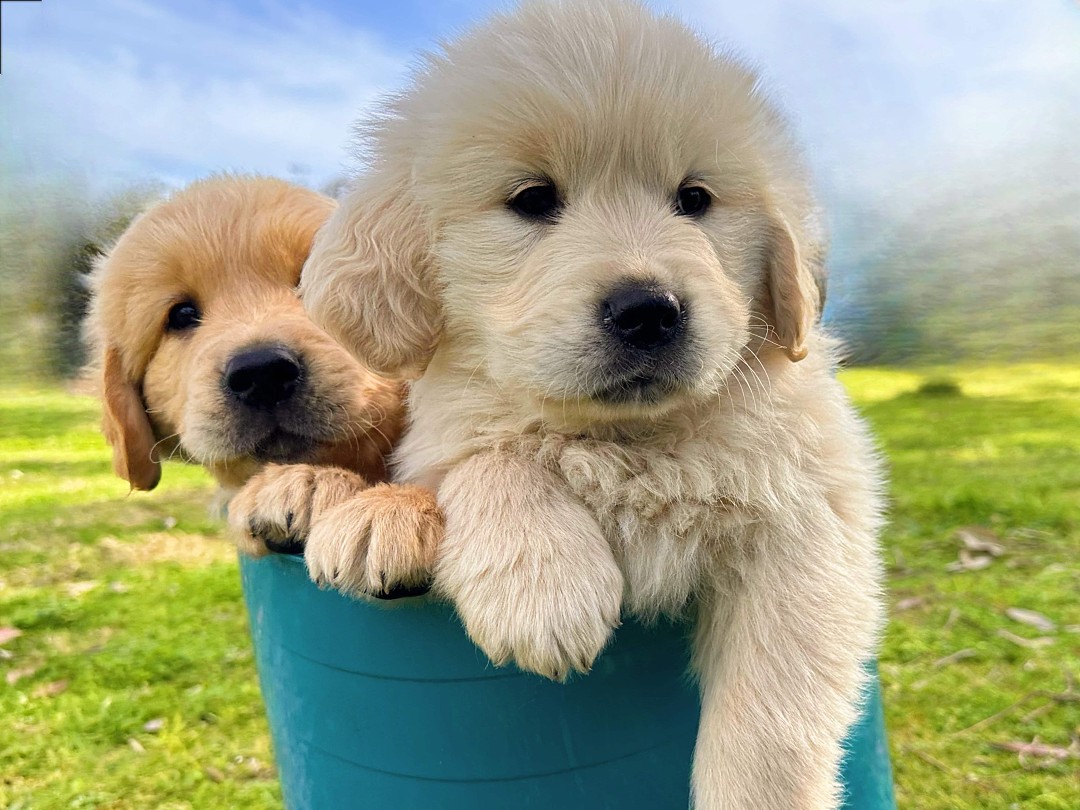 lm_image___2zfov img___201Rm cover___2hGtr