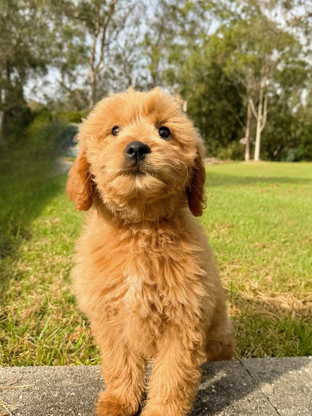 lm_image___2zfov img___201Rm cover___2hGtr