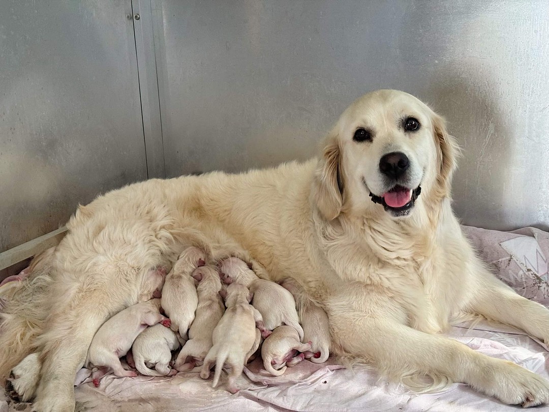 lm_image___2zfov img___201Rm cover___2hGtr