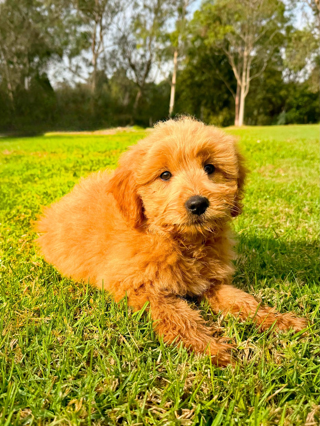 lm_image___2zfov img___201Rm cover___2hGtr