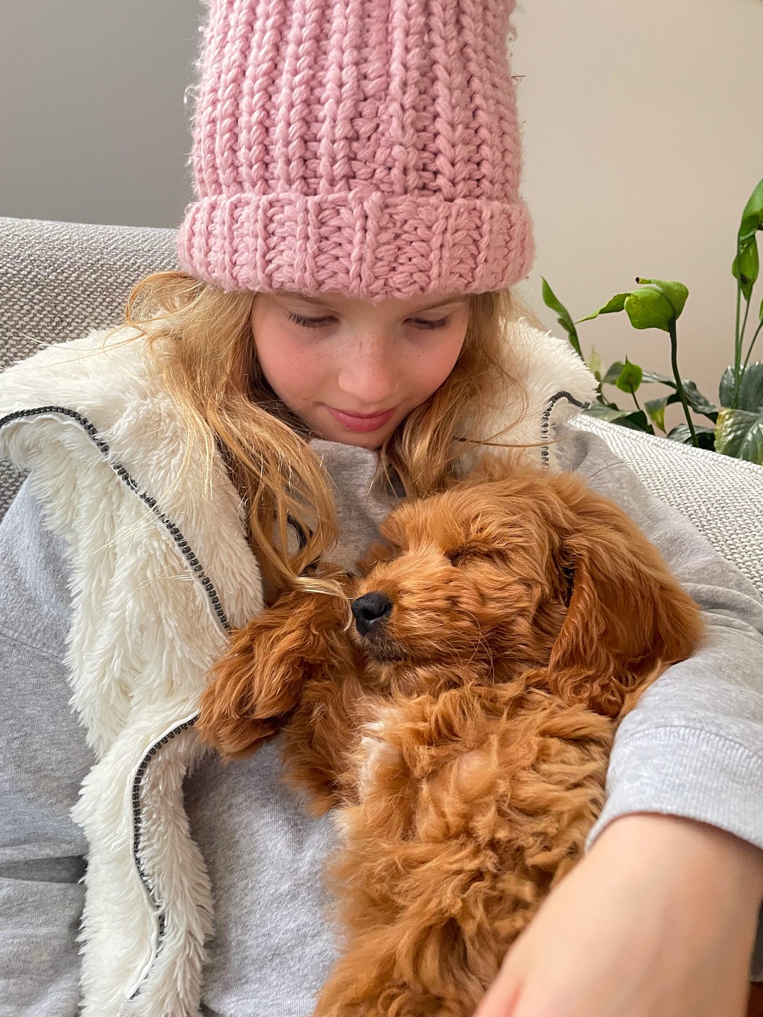 lm_image___2zfov img___201Rm cover___2hGtr