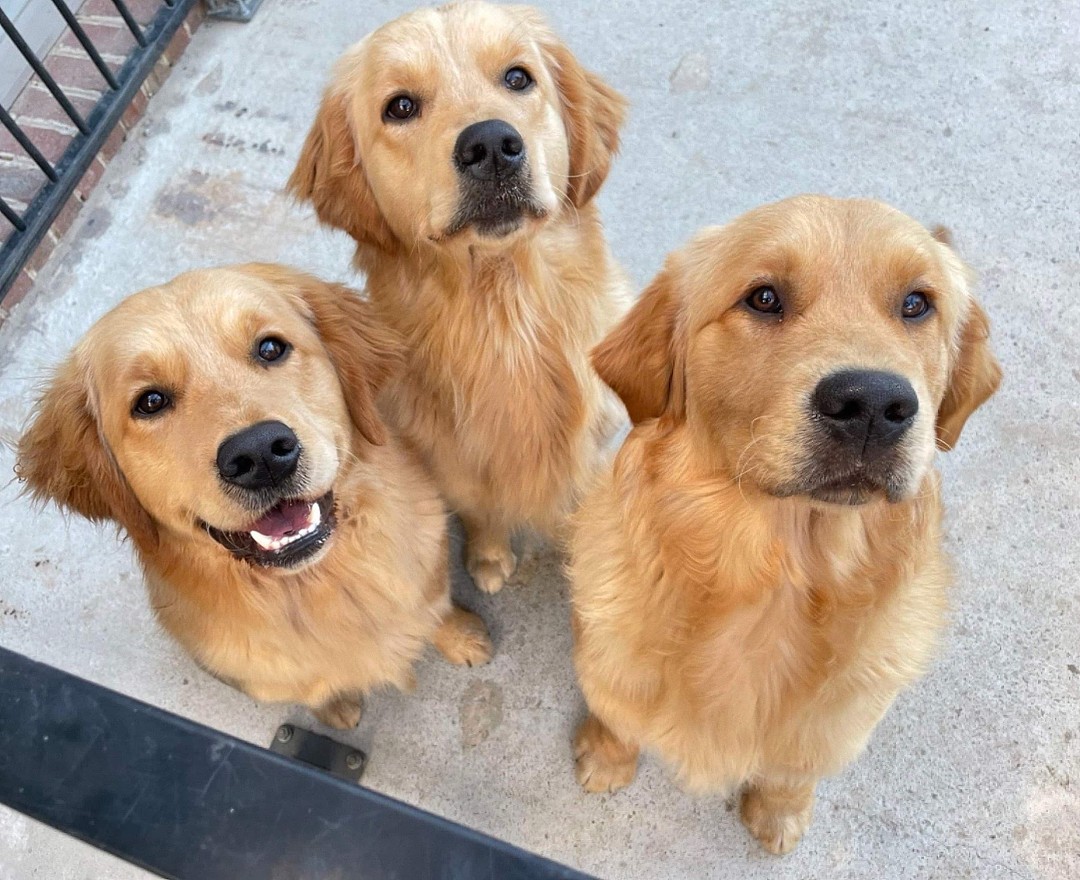 lm_image___2zfov img___201Rm cover___2hGtr