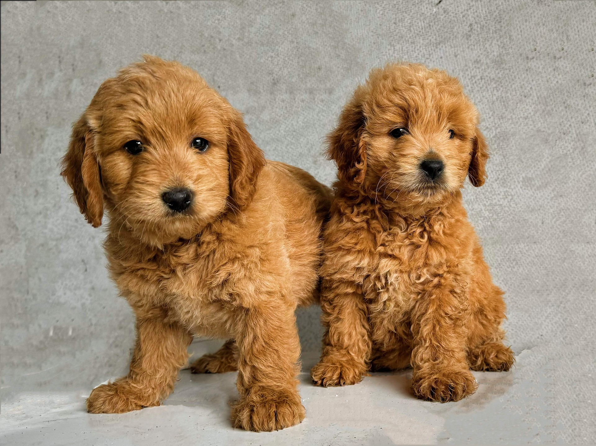 lm_image___2zfov swiper-item-img___1bCLM cover___2hGtr