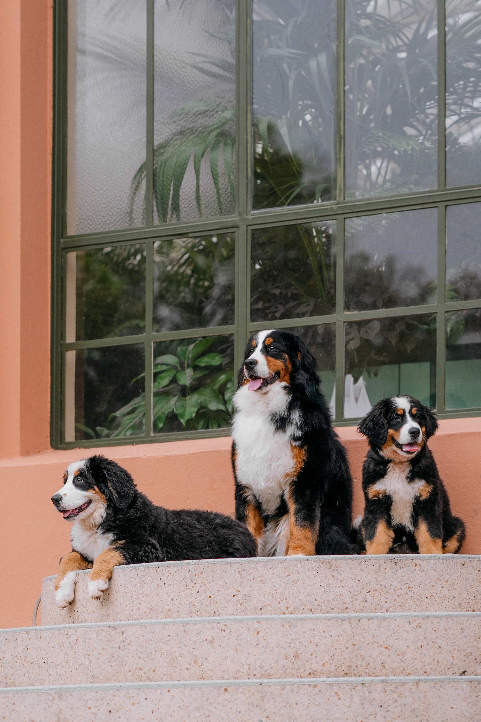 lm_image___2zfov swiper-item-img___1bCLM cover___2hGtr