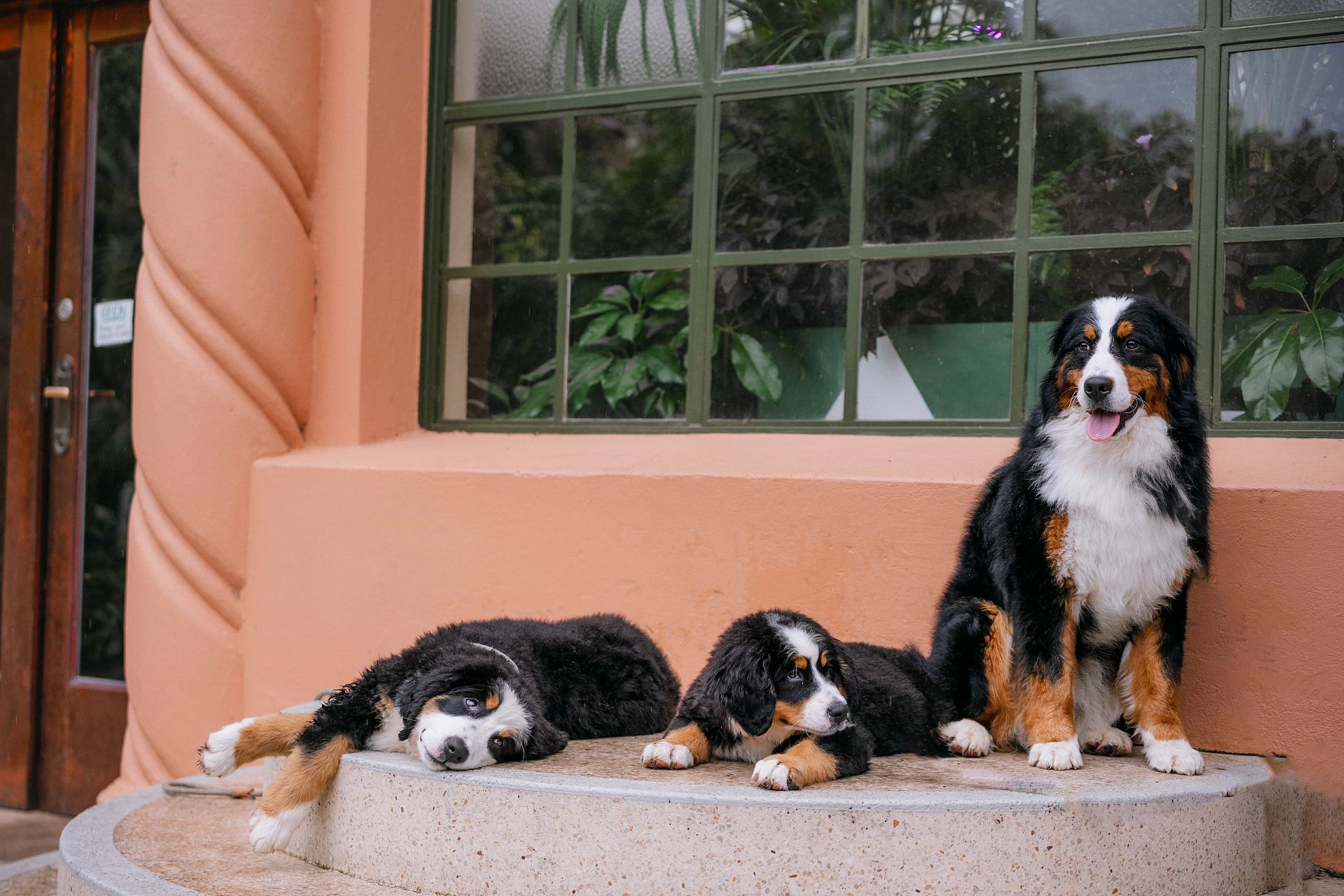 lm_image___2zfov swiper-item-img___1bCLM cover___2hGtr