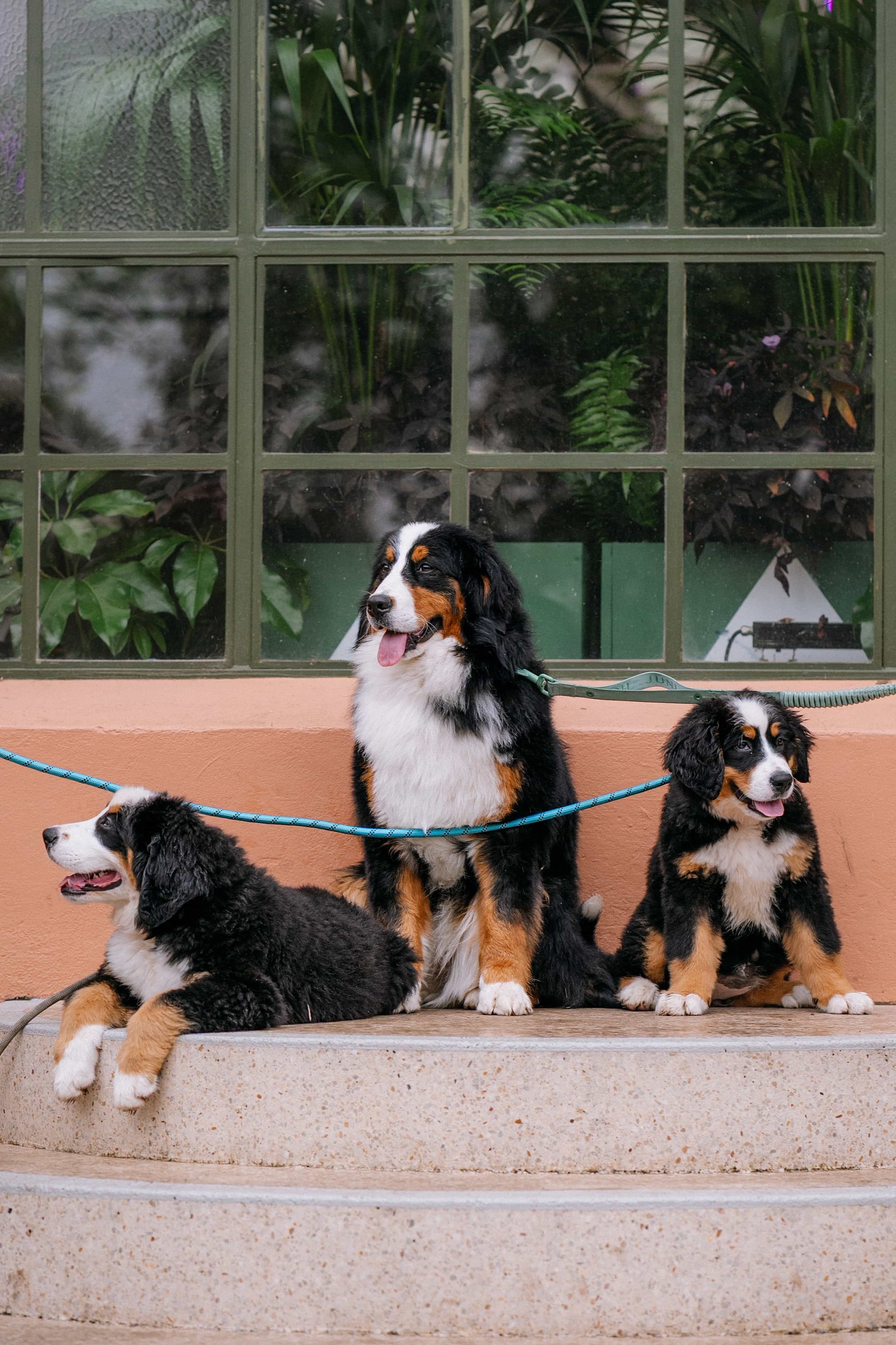 lm_image___2zfov photo-img___3y4aZ cover___2hGtr