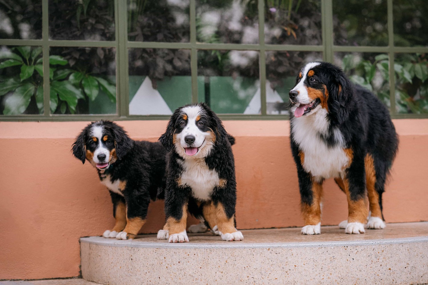 lm_image___2zfov photo-img___3y4aZ cover___2hGtr