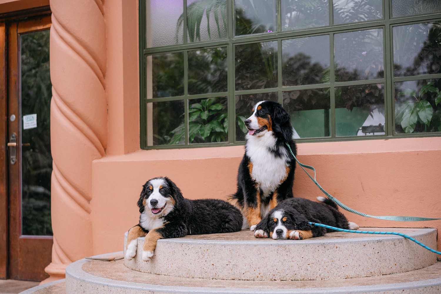 lm_image___2zfov photo-img___3y4aZ cover___2hGtr