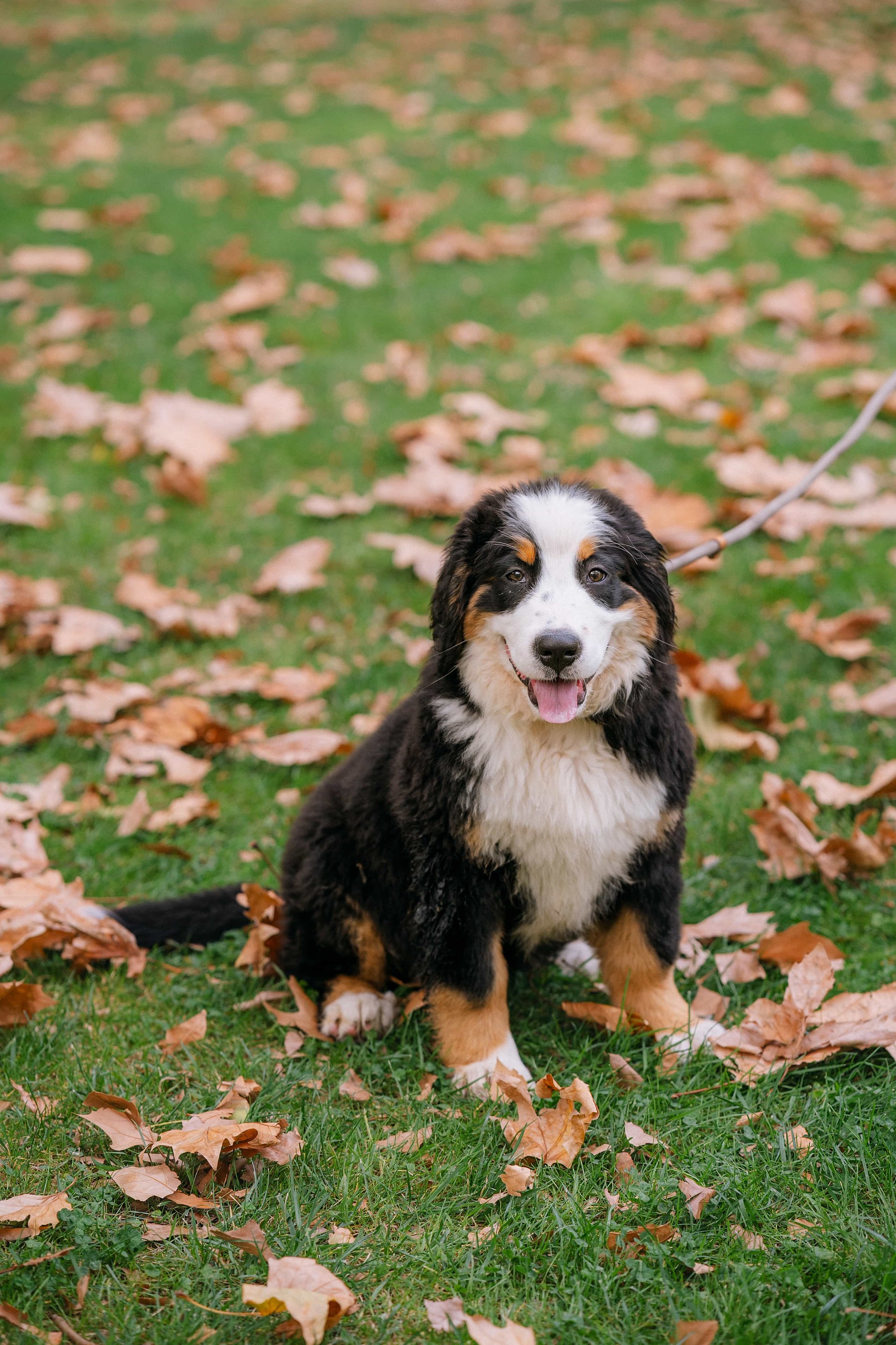 lm_image___2zfov swiper-item-img___1bCLM cover___2hGtr