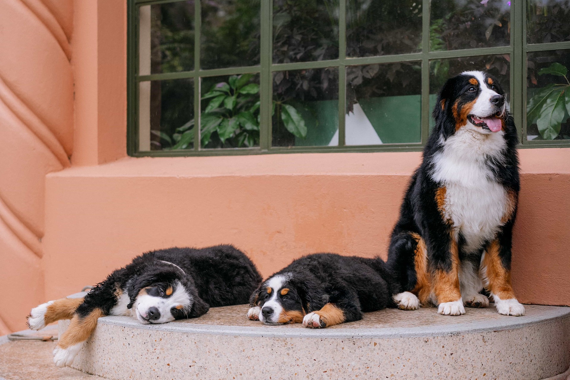 lm_image___2zfov swiper-item-img___1bCLM cover___2hGtr