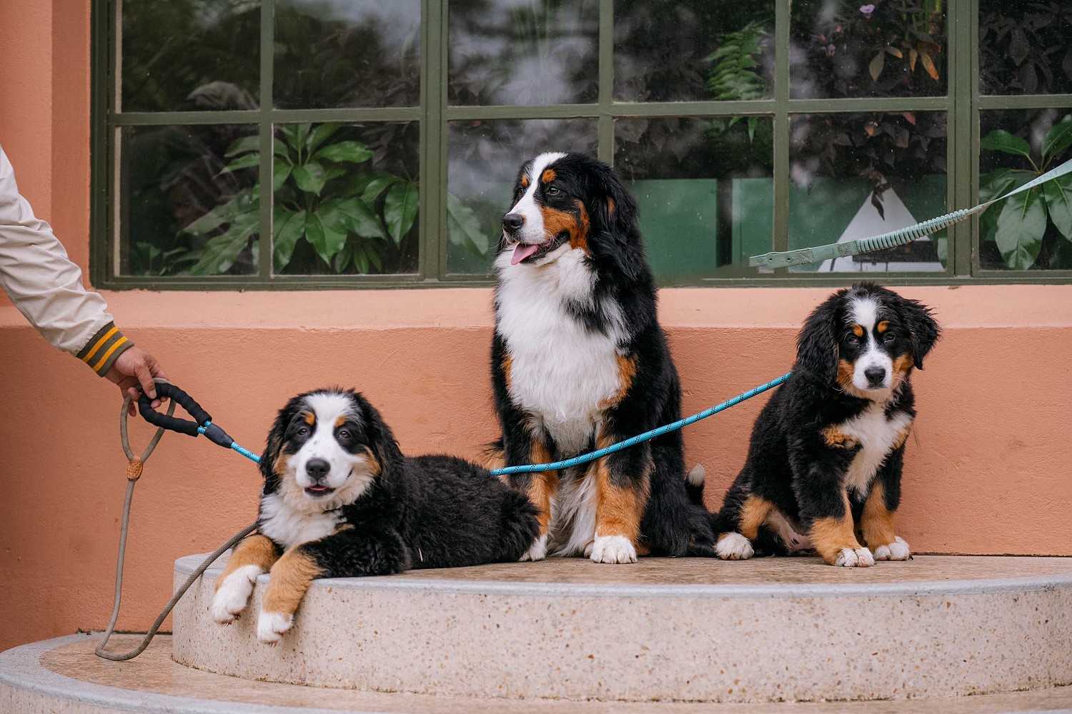 lm_image___2zfov photo-img___3y4aZ cover___2hGtr