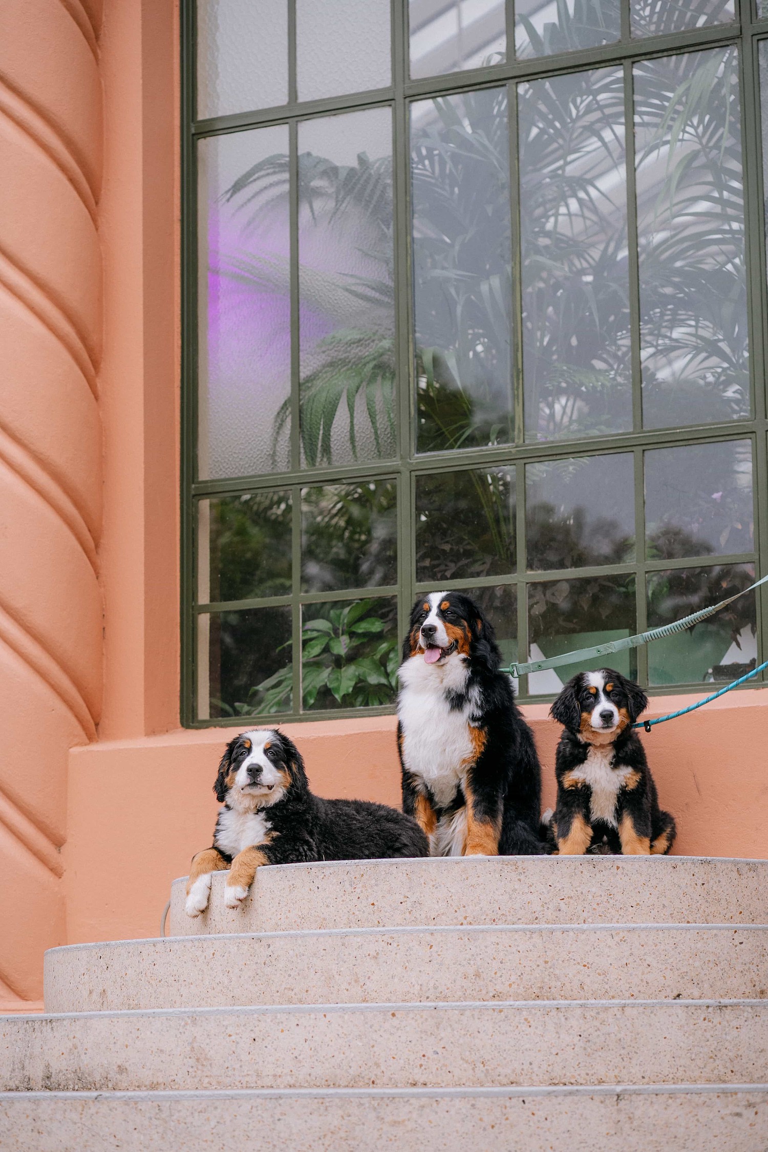 lm_image___2zfov photo-img___3y4aZ cover___2hGtr