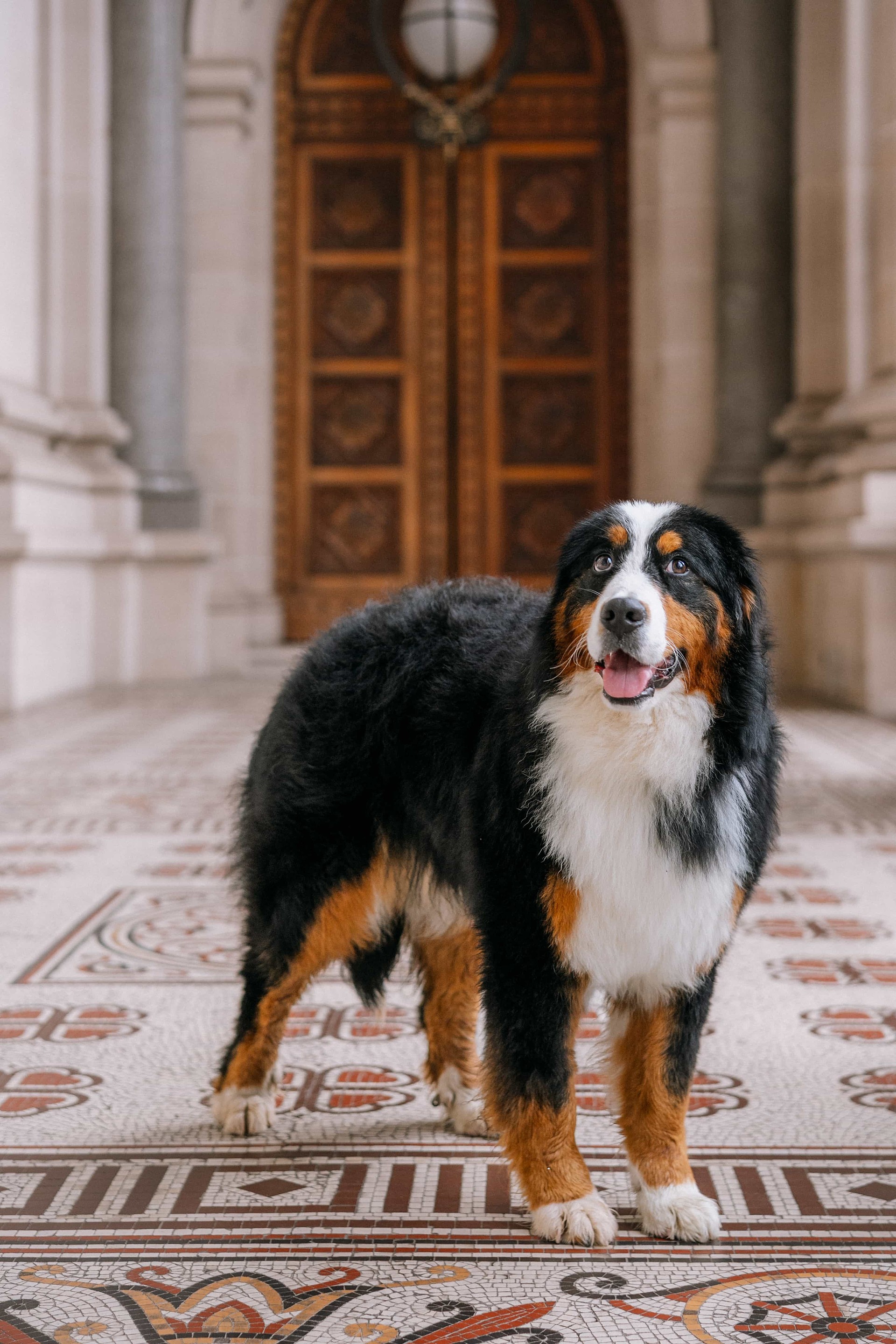 lm_image___2zfov swiper-item-img___1bCLM cover___2hGtr