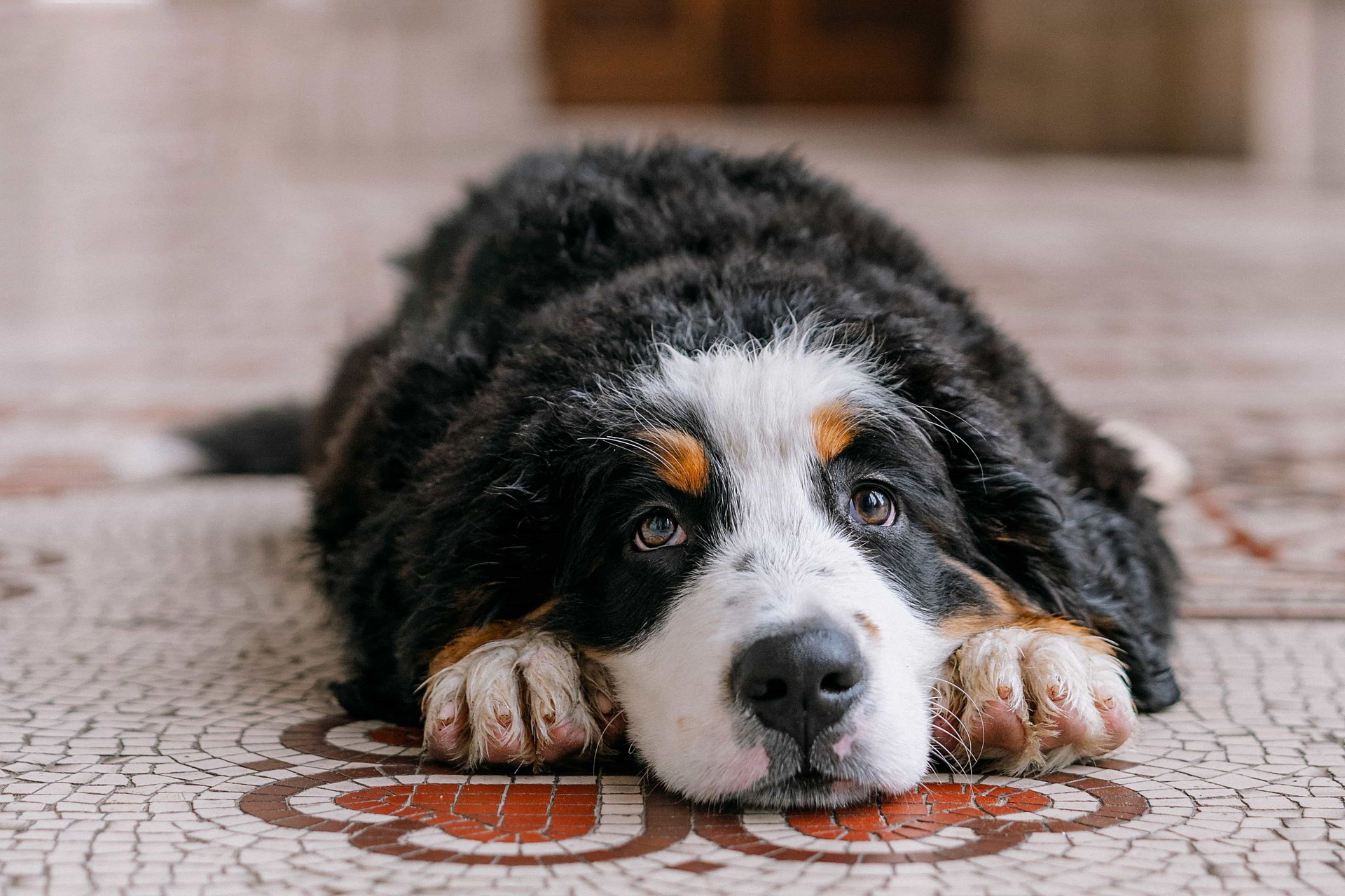 lm_image___2zfov swiper-item-img___1bCLM cover___2hGtr