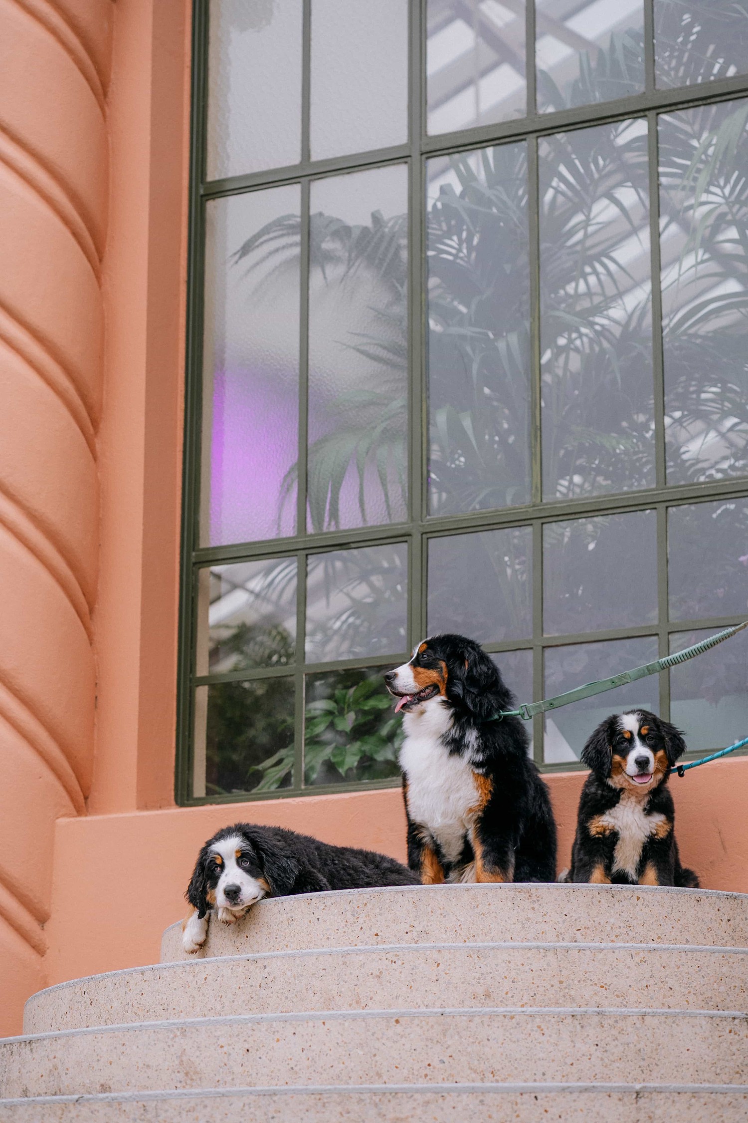 lm_image___2zfov photo-img___3y4aZ cover___2hGtr