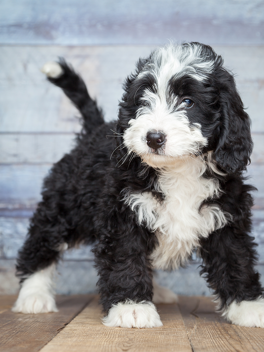 lm_image___2zfov cover___2hGtr lm_image___2zfov cover___2hGtr