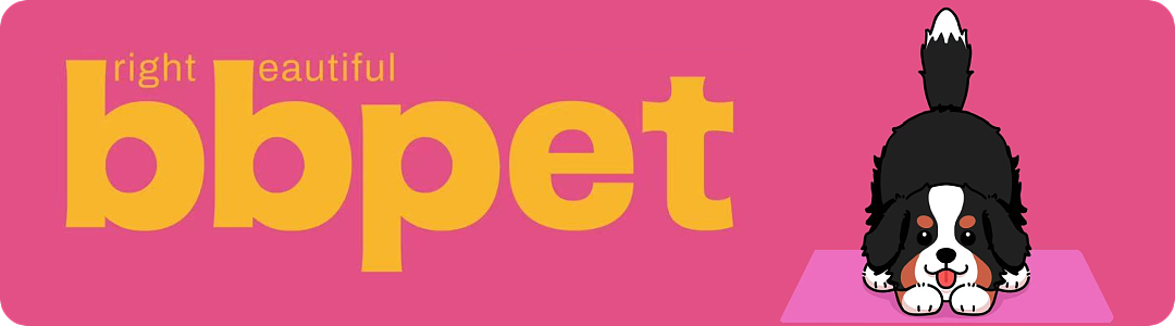 BBpet Moments BBpet Moments