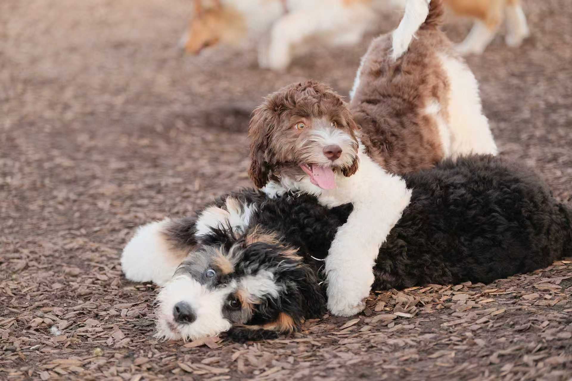 lm_image___2zfov swiper-item-img___1bCLM cover___2hGtr lm_image___2zfov swiper-item-img___1bCLM cover___2hGtr